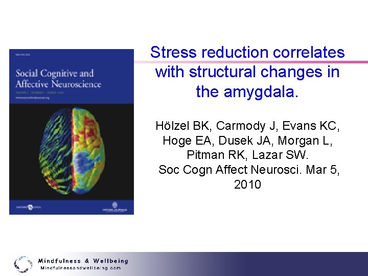 Stress reduction correlates with structural changes in the amygdala. Hölzel BK, Carmody J, Evans