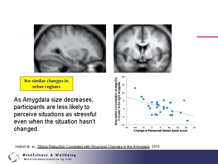 No similar changes in other regions As Amygdala size decreases, participants are less likely