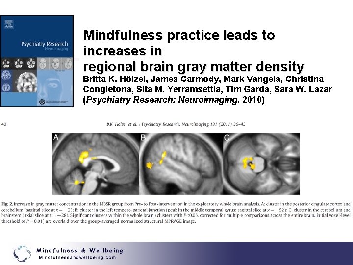 Mindfulness practice leads to increases in regional brain gray matter density Britta K. Hölzel,