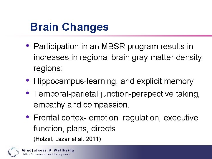 Brain Changes • Participation in an MBSR program results in increases in regional brain