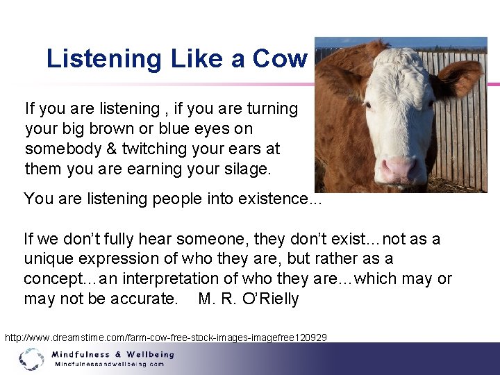 Listening Like a Cow If you are listening , if you are turning your