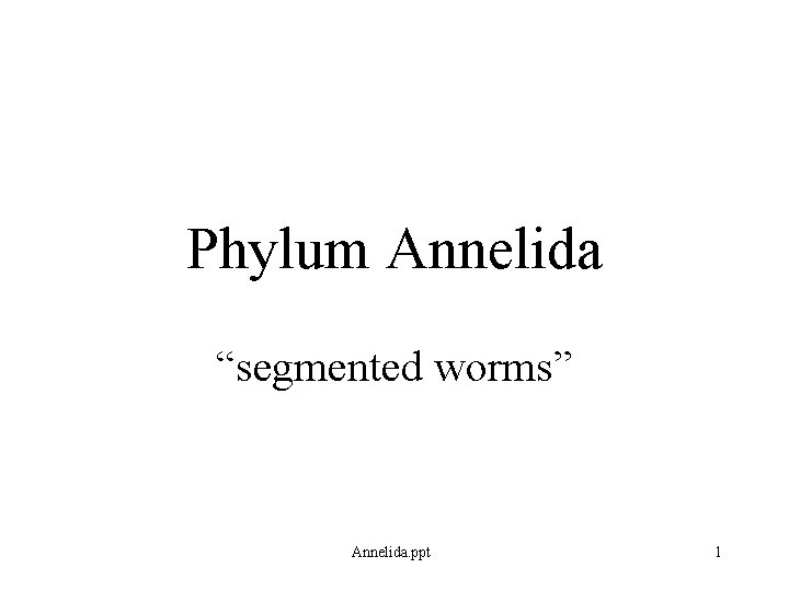 Phylum Annelida “segmented worms” Annelida. ppt 1 