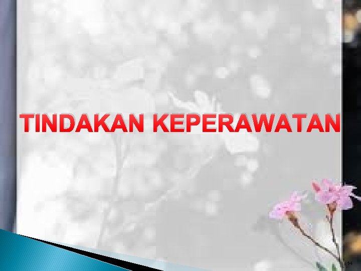 TINDAKAN KEPERAWATAN 14 TINDAKAN KEPERAWATAN 14