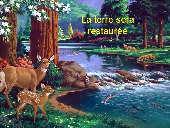 La terre sera restaurée 