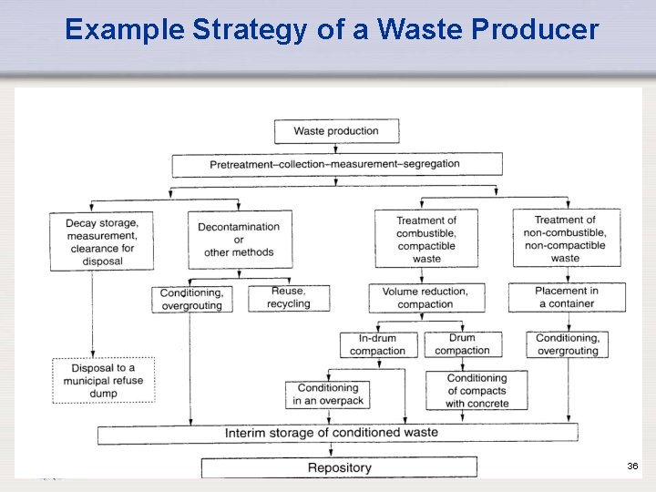 Example Strategy of a Waste Producer IAEA 36 