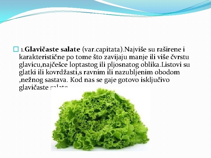 � 1. Glavičaste salate (var. capitata). Najviše su raširene i karakteristične po tome što
