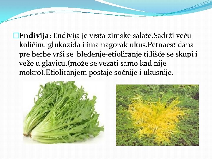 �Endivija: Endivija je vrsta zimske salate. Sadrži veću količinu glukozida i ima nagorak ukus.