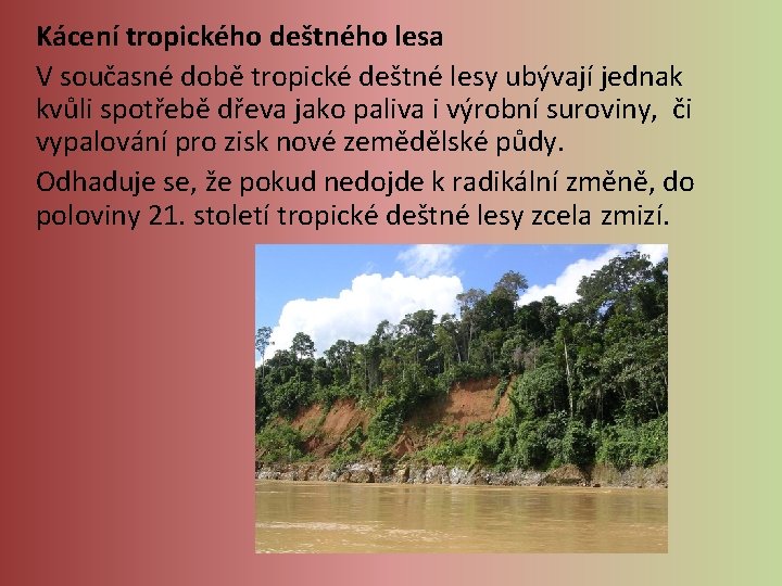 Kácení tropického deštného lesa V současné době tropické deštné lesy ubývají jednak kvůli spotřebě Kácení tropického deštného lesa V současné době tropické deštné lesy ubývají jednak kvůli spotřebě