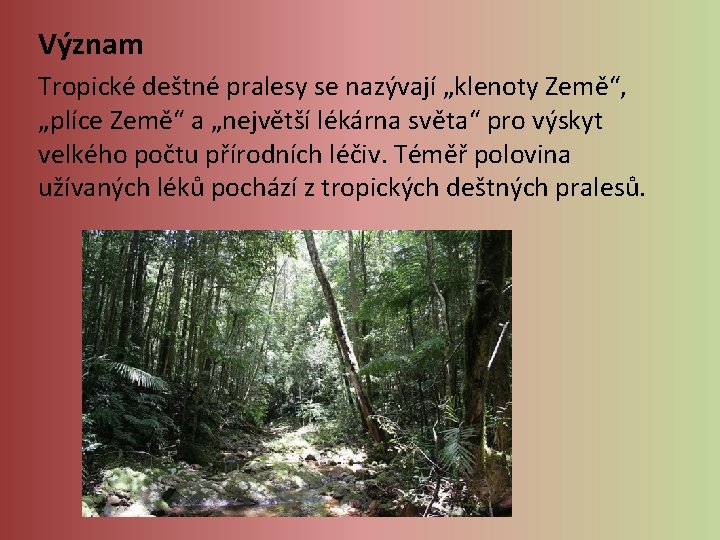 Význam Tropické deštné pralesy se nazývají „klenoty Země“, „plíce Země“ a „největší lékárna světa“ Význam Tropické deštné pralesy se nazývají „klenoty Země“, „plíce Země“ a „největší lékárna světa“