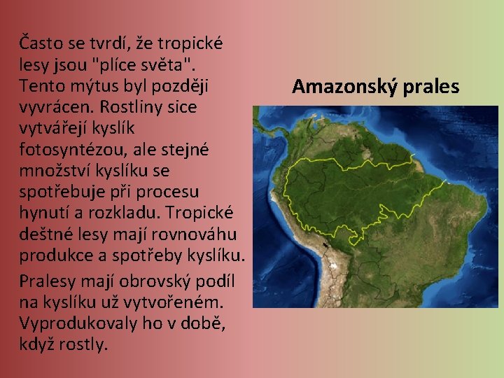 Často se tvrdí, že tropické lesy jsou "plíce světa". Tento mýtus byl později vyvrácen. Často se tvrdí, že tropické lesy jsou "plíce světa". Tento mýtus byl později vyvrácen.