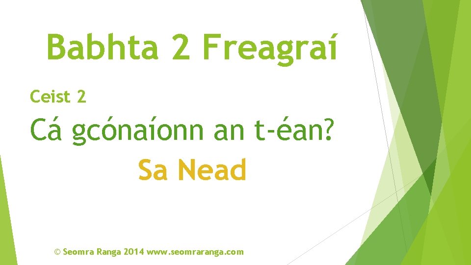 Babhta 2 Freagraí Ceist 2 Cá gcónaíonn an t-éan? Sa Nead © Seomra Ranga