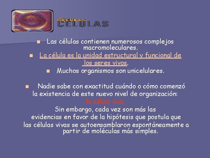 Las células contienen numerosos complejos macromoleculares. n La célula es la unidad estructural y