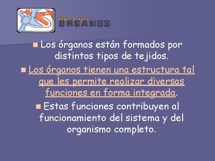 n Los órganos están formados por distintos tipos de tejidos. n Los órganos tienen