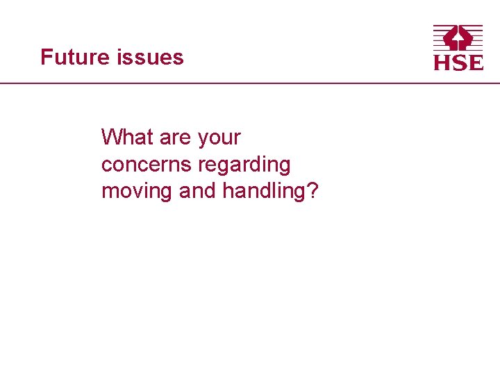 Future issues What are your concerns regarding moving and handling? 