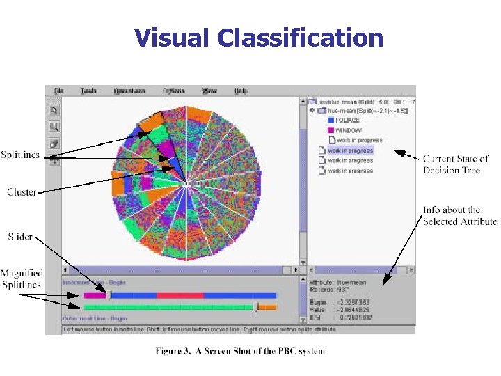 Visual Classification 