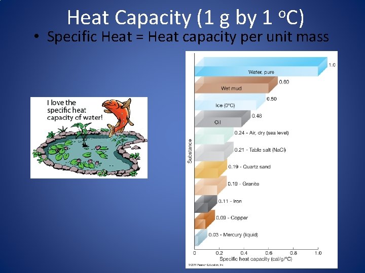 Heat Capacity (1 g by 1 o. C) • Specific Heat = Heat capacity