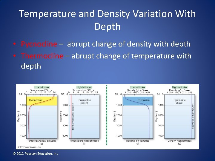 Temperature and Density Variation With Depth • Pycnocline – abrupt change of density with