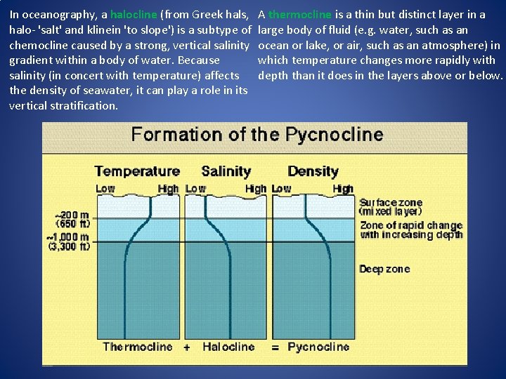 In oceanography, a halocline (from Greek hals, A thermocline is a thin but distinct