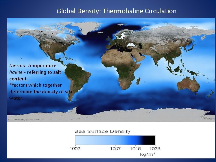Global Density: Thermohaline Circulation thermo- temperature haline - referring to salt content, *factors which