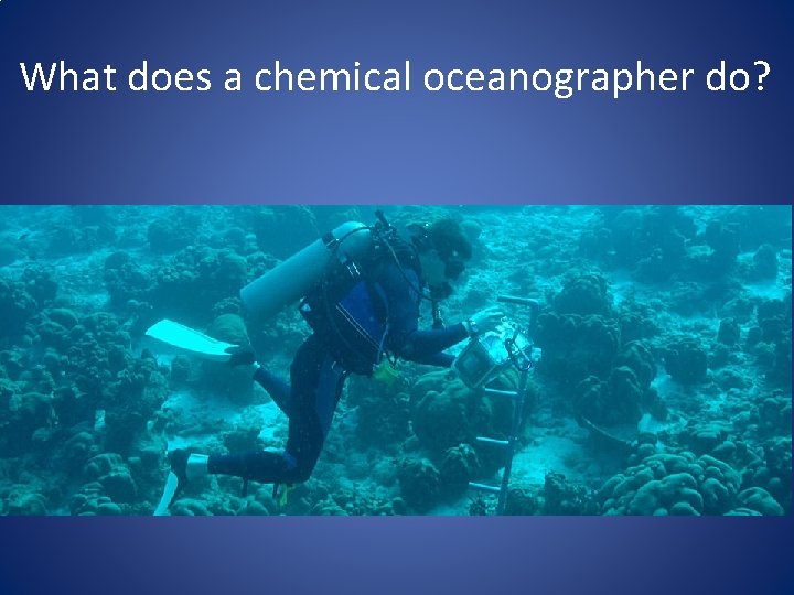 What does a chemical oceanographer do? 