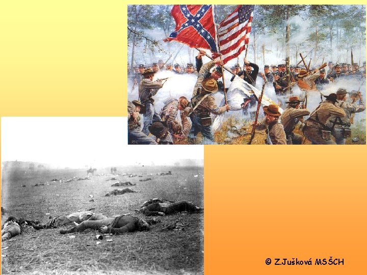 © Z. Jušková MSŠCH 