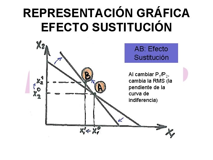 REPRESENTACIÓN GRÁFICA EFECTO SUSTITUCIÓN AB: Efecto Sustitución Al cambiar P 1/P 2, cambia la