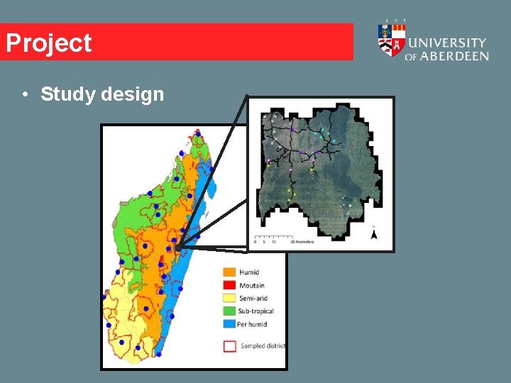 Project • Study design 