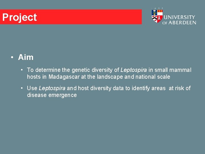 Project • Aim • To determine the genetic diversity of Leptospira in small mammal