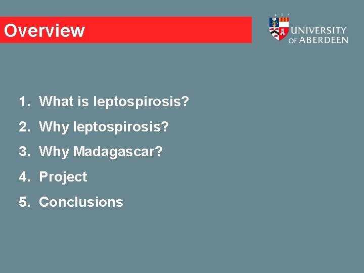 Overview 1. What is leptospirosis? 2. Why leptospirosis? 3. Why Madagascar? 4. Project 5.