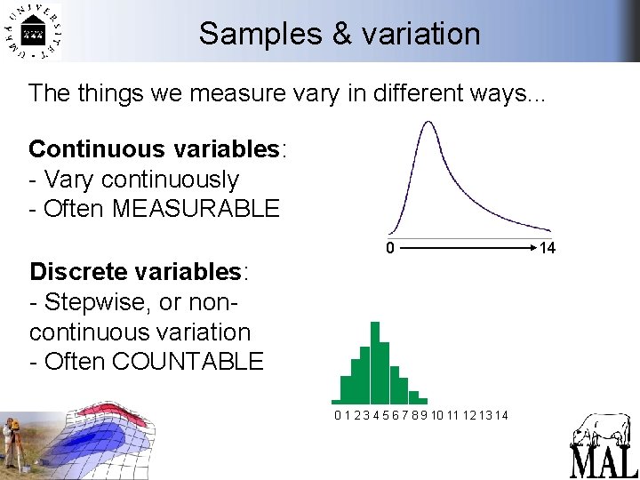 Samples & variation The things we measure vary in different ways. . . Continuous