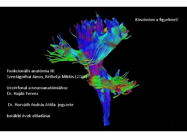 Köszönöm a figyelmet! Funkcionális anatómia III. Szentágothai János, Réthelyi Miklós (2006) Vezérfonal a neuroanatómiához