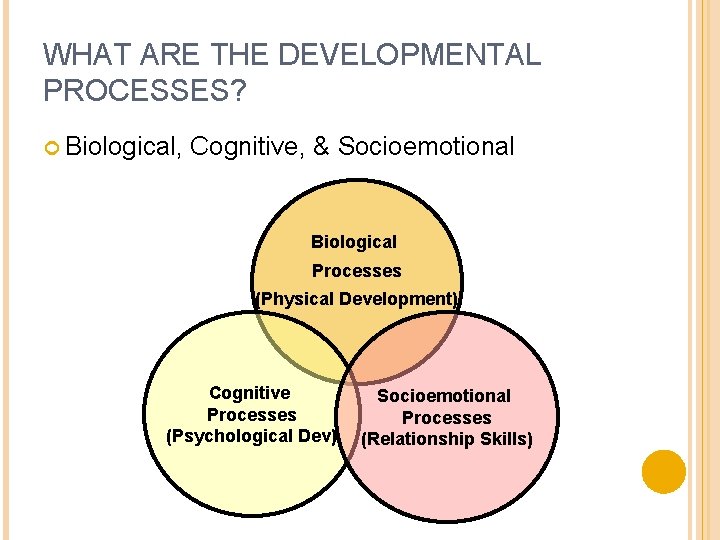 WHAT ARE THE DEVELOPMENTAL PROCESSES? Biological, Cognitive, & Socioemotional Biological Processes (Physical Development) Cognitive