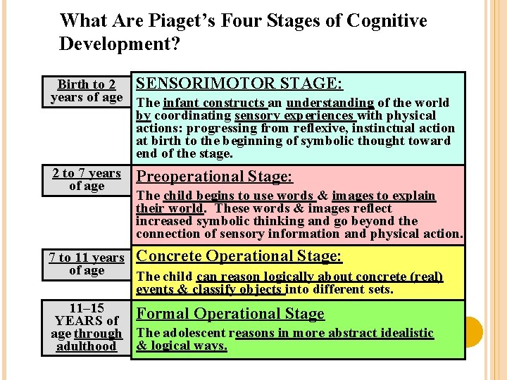 What Are Piaget’s Four Stages of Cognitive Development? Birth to 2 SENSORIMOTOR STAGE: years