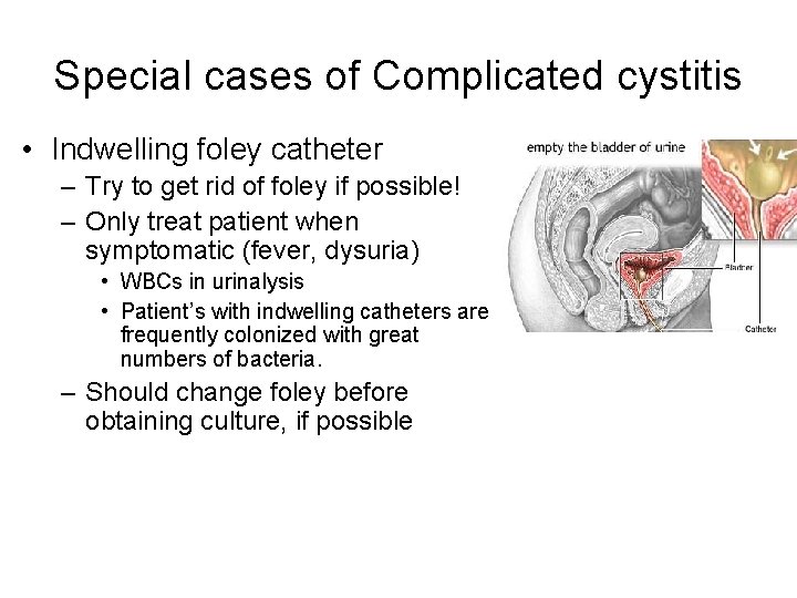 Special cases of Complicated cystitis • Indwelling foley catheter – Try to get rid