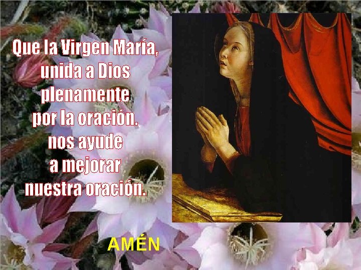AMÉN 