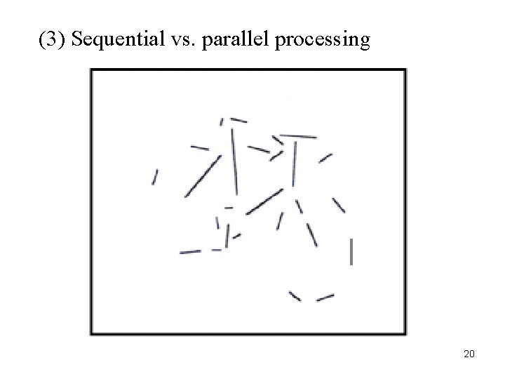 (3) Sequential vs. parallel processing 20 