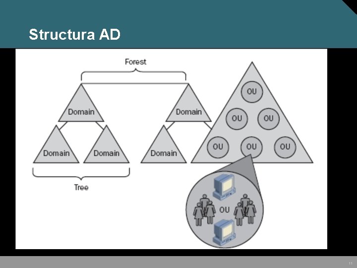 Structura AD 11 