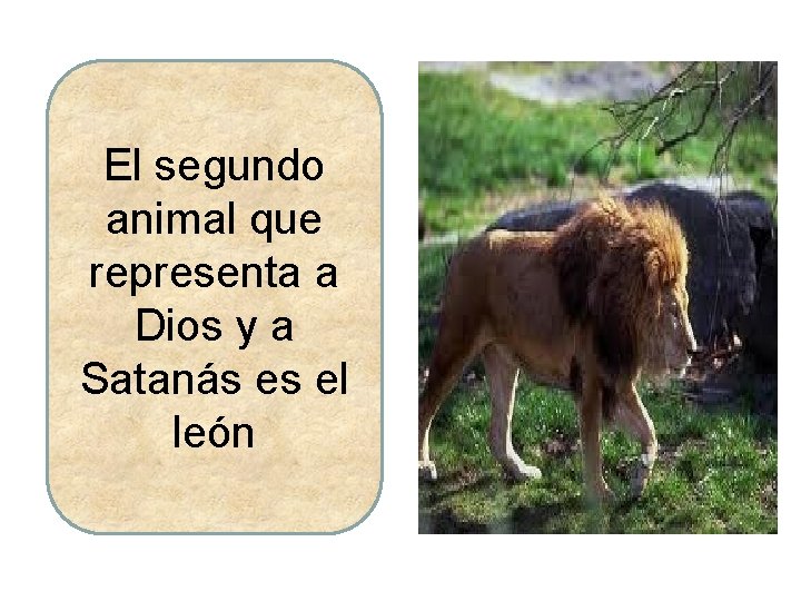 El segundo animal que representa a Dios y a Satanás es el león El segundo animal que representa a Dios y a Satanás es el león