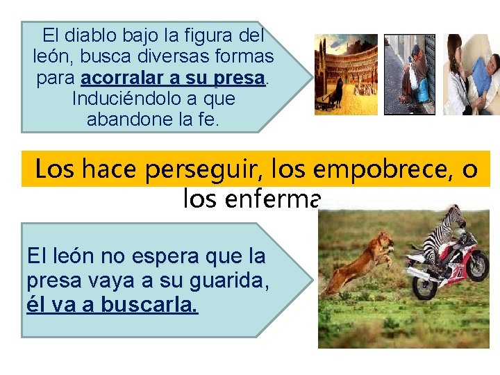 El diablo bajo la figura del león, busca diversas formas para acorralar a su El diablo bajo la figura del león, busca diversas formas para acorralar a su