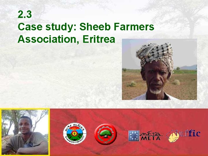 2. 3 Case study: Sheeb Farmers Association, Eritrea 