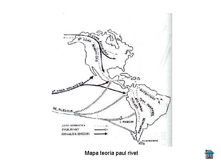 Mapa teoría paul rivet 