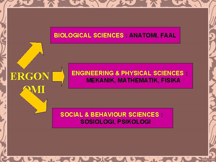 BIOLOGICAL SCIENCES : ANATOMI, FAAL ERGON OMI ENGINEERING & PHYSICAL SCIENCES : MEKANIK, MATHEMATIK,