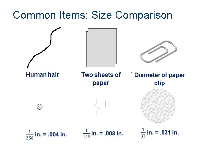 Common Items: Size Comparison 