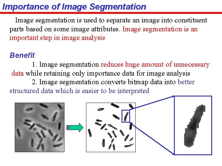 Importance of Image Segmentation Image segmentation is used to separate an image into constituent