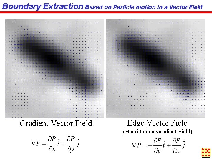 Boundary Extraction Based on Particle motion in a Vector Field Gradient Vector Field Edge