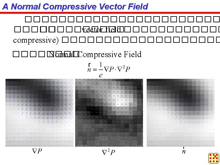 A Normal Compressive Vector Field ������������ vector field ������ compressive) ���������� Normal Compressive Field