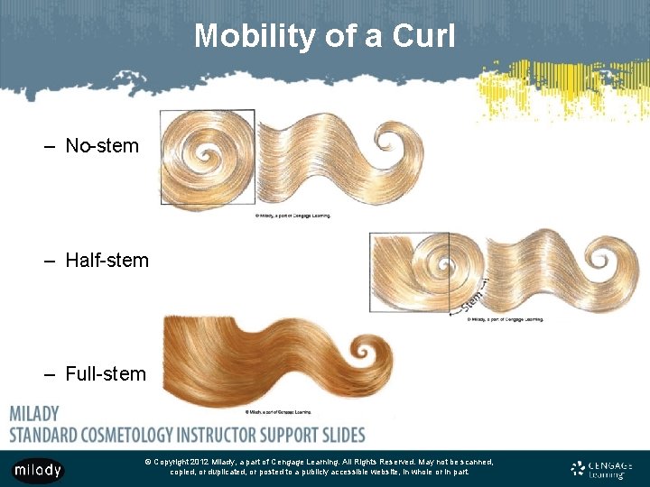Mobility of a Curl – No-stem – Half-stem – Full-stem © Copyright 2012 Milady,