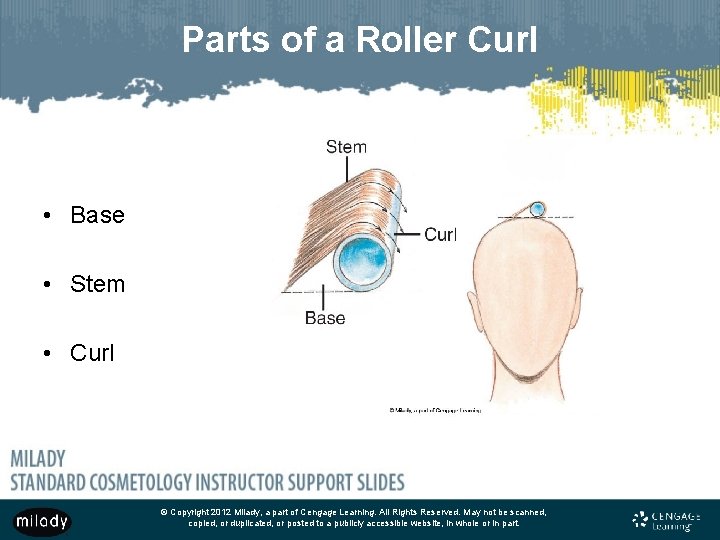 Parts of a Roller Curl • Base • Stem • Curl © Copyright 2012