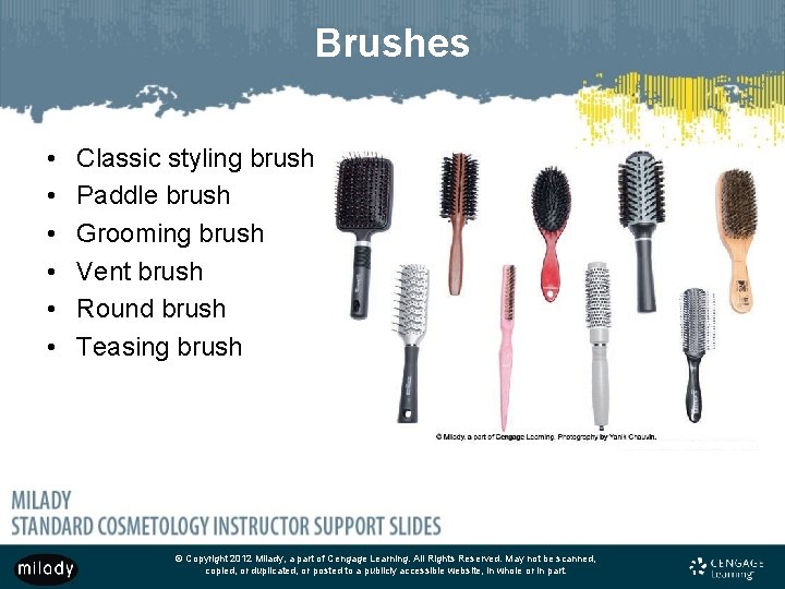 Brushes • • • Classic styling brush Paddle brush Grooming brush Vent brush Round