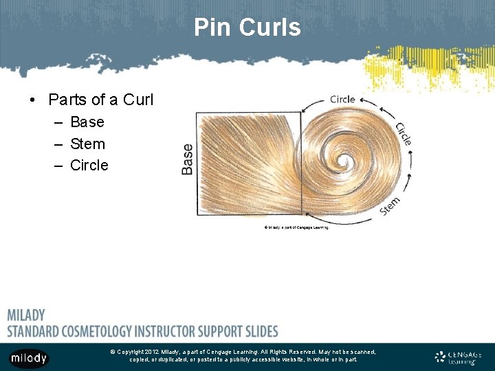 Pin Curls • Parts of a Curl – Base – Stem – Circle ©